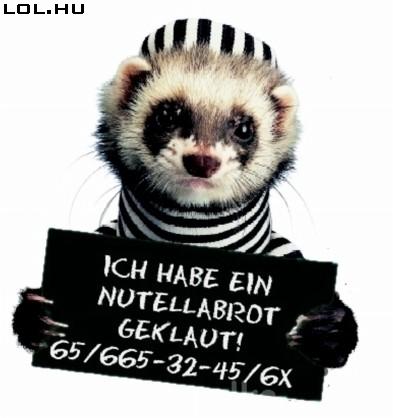 Bajba:P